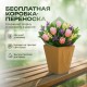 Букет 3 бордовые розы