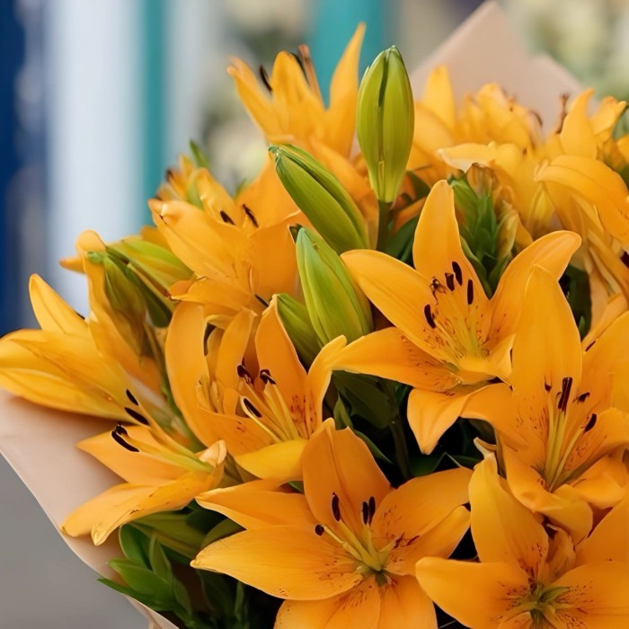 Букет 11 тигровых лилий Букет 11 тигровых лилий