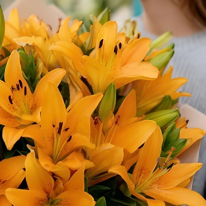 Букет 11 тигровых лилий Букет 11 тигровых лилий