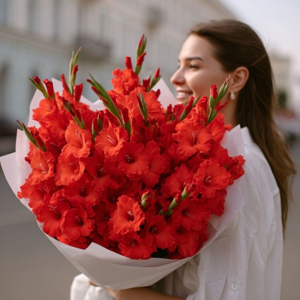 13 красных гладиолусов