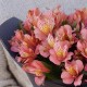 Букет 15 розовых альстромерий