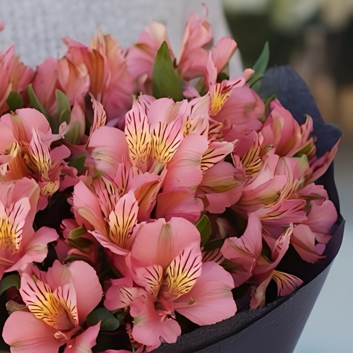 Букет 15 розовых альстромерий Букет 15 розовых альстромерий