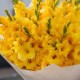 Букет 15 желтых гладиолусов