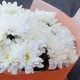 Букет 2 белые кустовые хризантемы