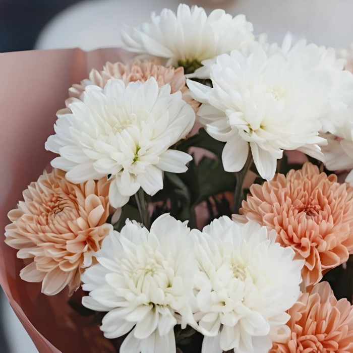 Букет 3 бело-кремовые хризантемы Букет 3 бело-кремовые хризантемы