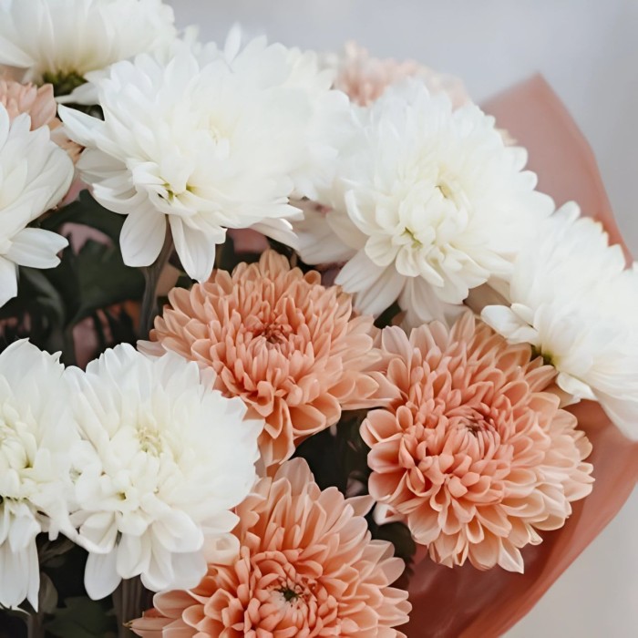 Букет 3 бело-кремовые хризантемы Букет 3 бело-кремовые хризантемы