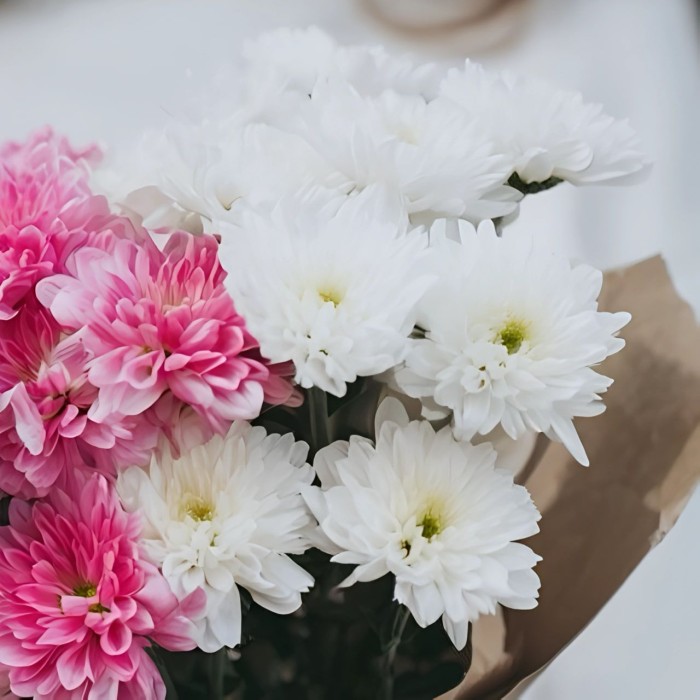 Букет 3 бело-розовые хризантемы Букет 3 бело-розовые хризантемы
