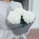 Букет 3 белоснежные гортензии