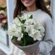 Букет 3 белые альстромерии