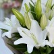 Букет 3 белые лилии