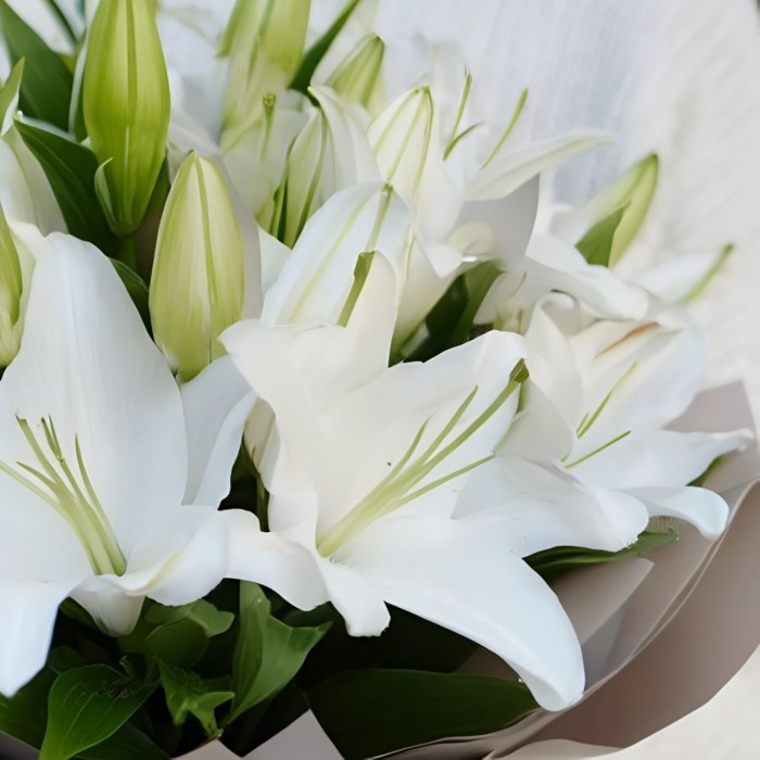 Букет 3 белые лилии Букет 3 белые лилии
