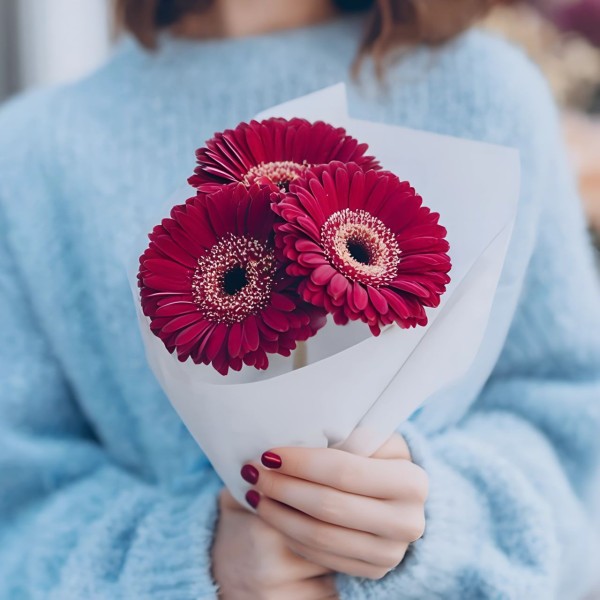 Букет 3 бордовые герберы