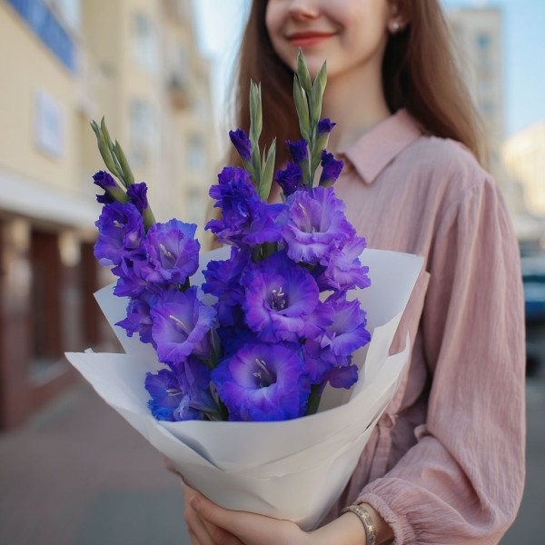 3 фиолетовых гладиолуса