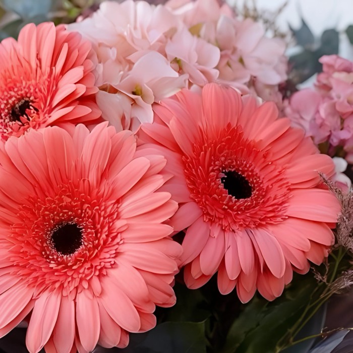 Букет 3 герберы с розовой гортензией Букет 3 герберы с розовой гортензией