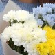 Букет 3 хризантемы микс