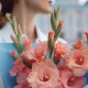 Букет 3 коралловых гладиолуса