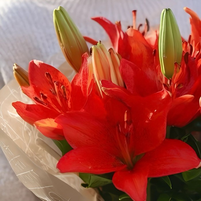 Букет 3 красные лилии Букет 3 красные лилии
