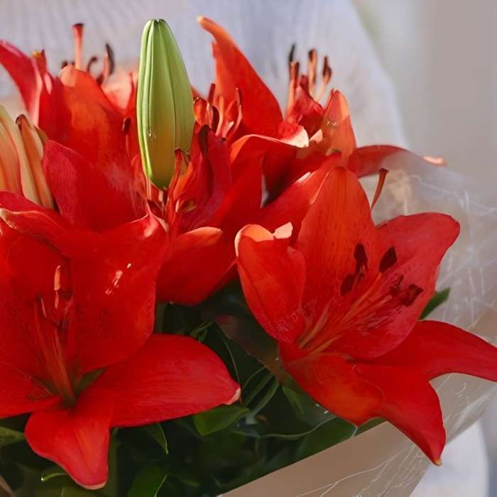Букет 3 красные лилии Букет 3 красные лилии