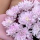 Букет из 3 кустовых хризантем