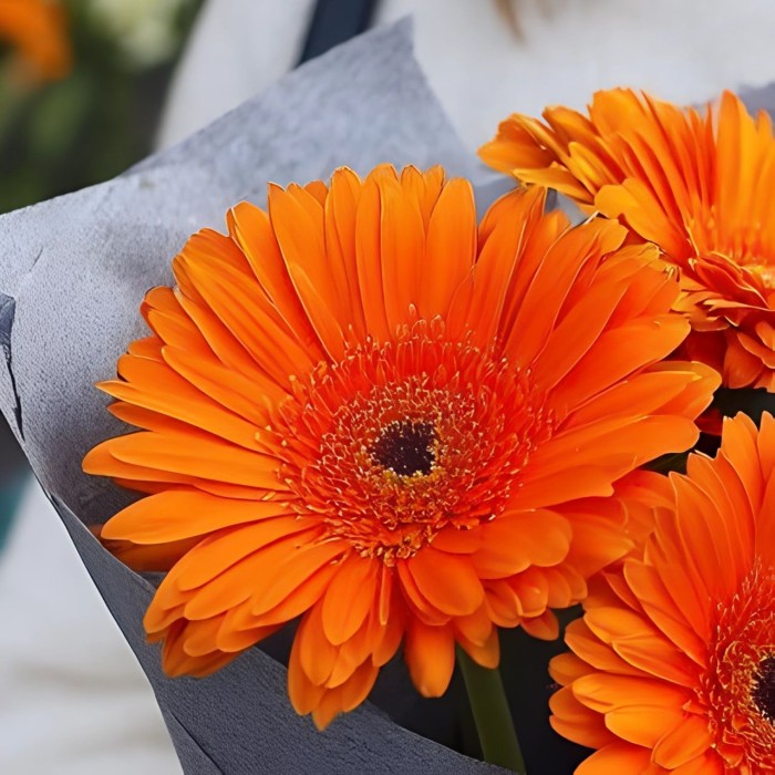 Букет 3 оранжевые герберы Букет 3 оранжевые герберы