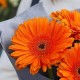 Букет 3 оранжевые герберы