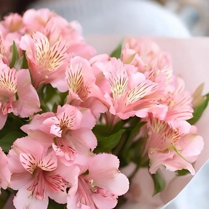 Букет 3 розовые альстромерии Букет 3 розовые альстромерии