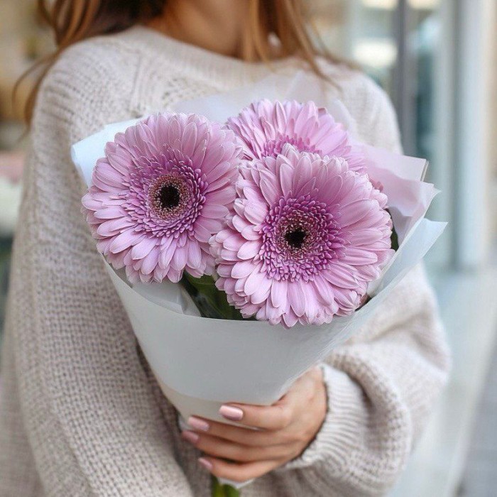 Букет 3 розовые герберы Букет 3 розовые герберы