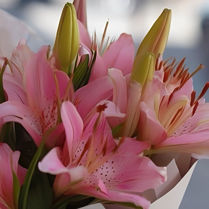Букет 3 розовые лилии Букет 3 розовые лилии