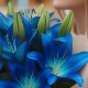 Букет 3 синие лилии