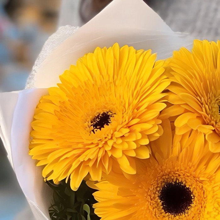 Букет 3 желтые герберы Букет 3 желтые герберы