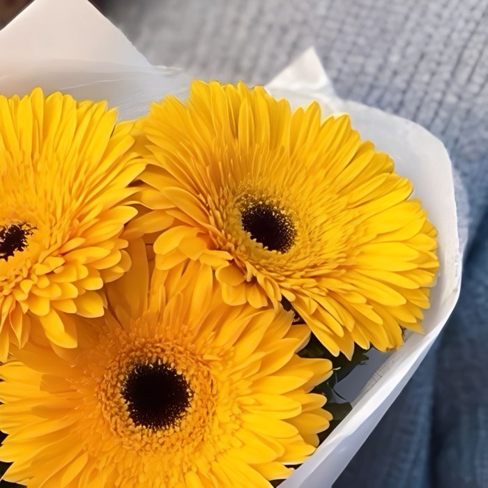 Букет 3 желтые герберы Букет 3 желтые герберы