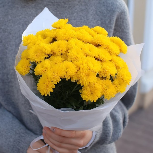 3 желтые кустовые хризантемы