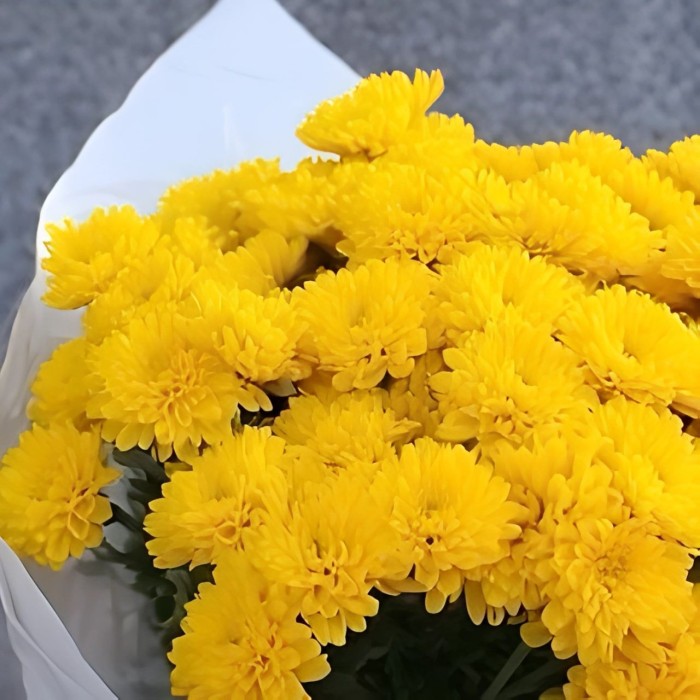 Букет 3 желтые кустовые хризантемы Букет 3 желтые кустовые хризантемы