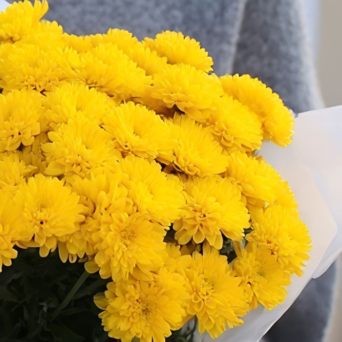 Букет 3 желтые кустовые хризантемы Букет 3 желтые кустовые хризантемы