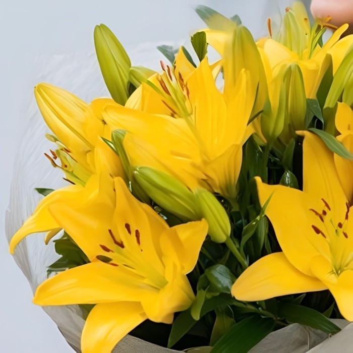 Букет 3 желтые лилии Букет 3 желтые лилии