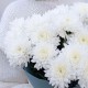 Букет 4 белые хризантемы