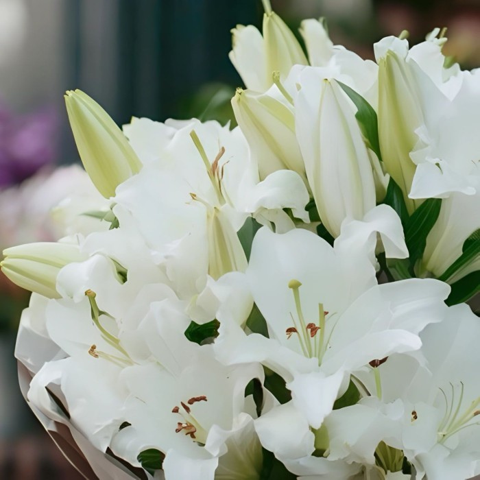 Букет 5 ароматных лилий Букет 5 ароматных лилий