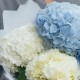 Букет 5 бело-синих гортензий