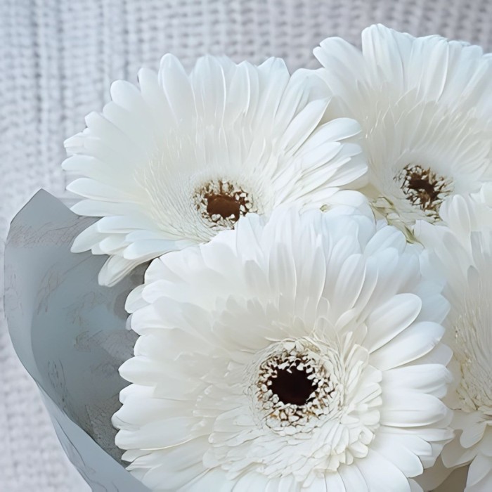 Букет 5 белых гербер Букет 5 белых гербер