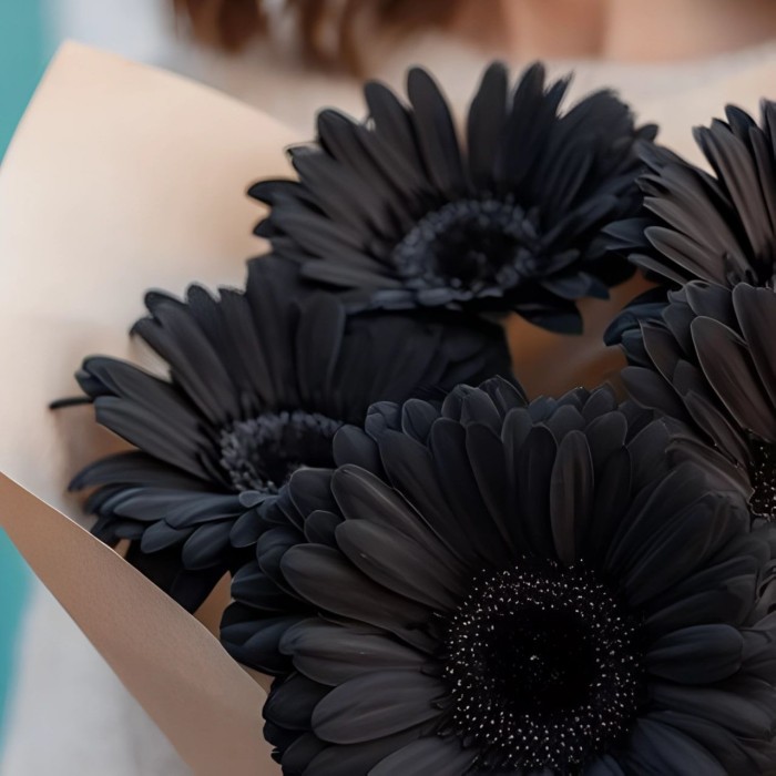 Букет 5 черных гербер Букет 5 черных гербер