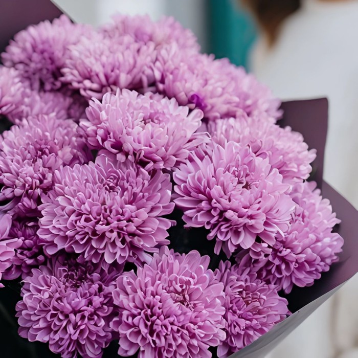 Букет 5 фиолетовых хризантем Мемфис Букет 5 фиолетовых хризантем Мемфис