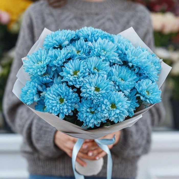 Букет 5 голубых кустовых хризантем Букет 5 голубых кустовых хризантем