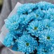 Букет 5 голубых кустовых хризантем