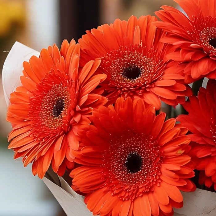 Букет 5 красных гербер