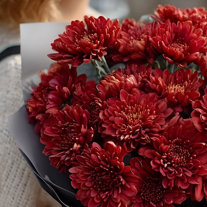 Букет 5 красных кустовых хризантем
