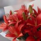 Букет 5 красных лилий
