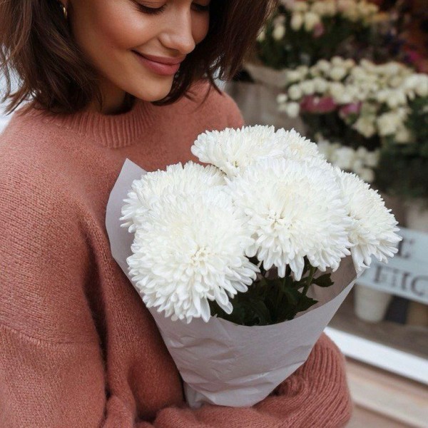 5 одноголовых хризантем