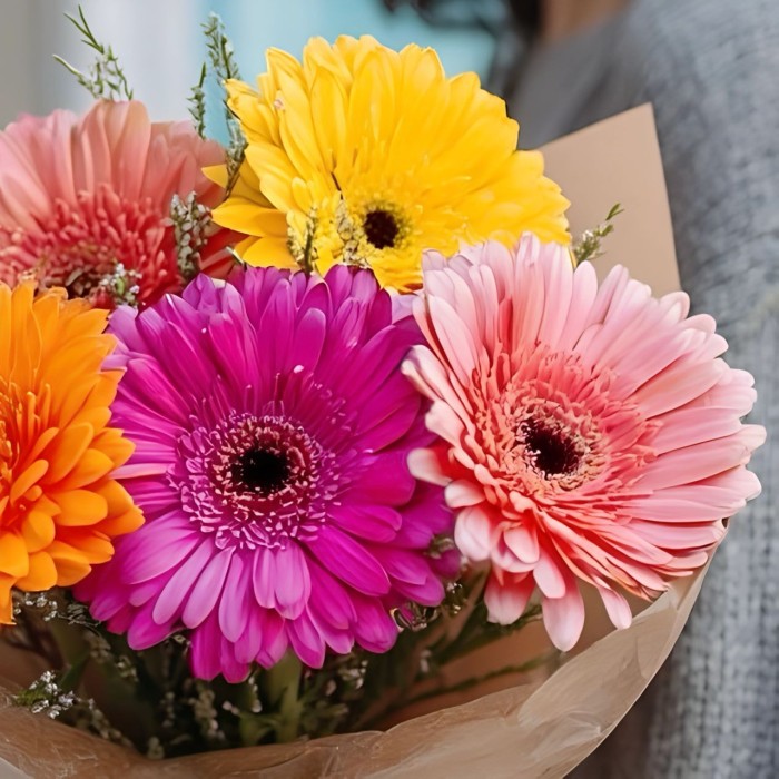 Букет 5 разноцветных гербер Букет 5 разноцветных гербер