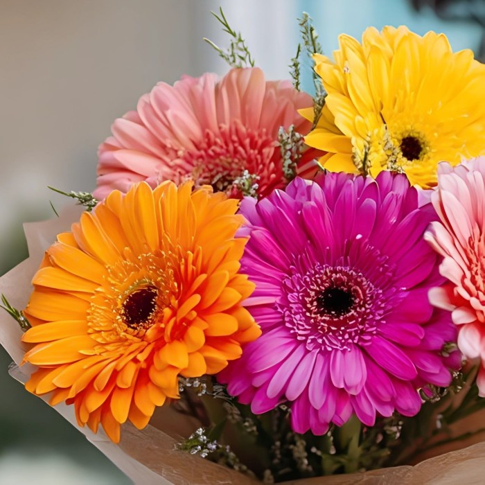 Букет 5 разноцветных гербер Букет 5 разноцветных гербер