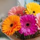 Букет 5 разноцветных гербер